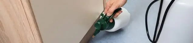 Bed bug exterminator treating baseboards and cracks with targeted spray in Memphis, TN