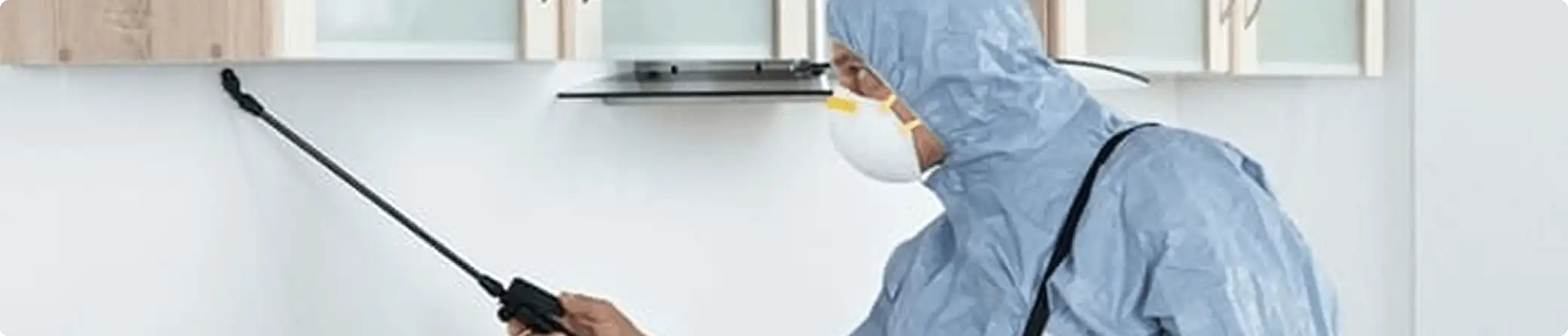 Pest control technician spraying along baseboards for indoor pest treatment in Memphis, TN