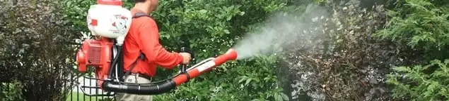 Mosquito control technician fogging shrubs and landscaping for mosquito treatment in Memphis, TN