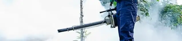 Pest control technician fogging an outdoor area for insect control in Memphis, TN