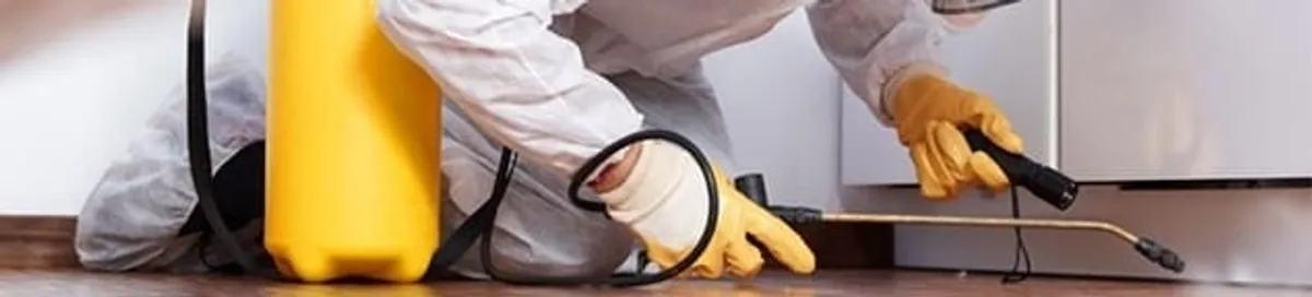 Roach exterminator treating cracks and crevices along kitchen baseboards in Memphis, TN