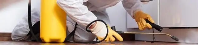 Roach exterminator treating cracks and crevices along kitchen baseboards in Memphis, TN