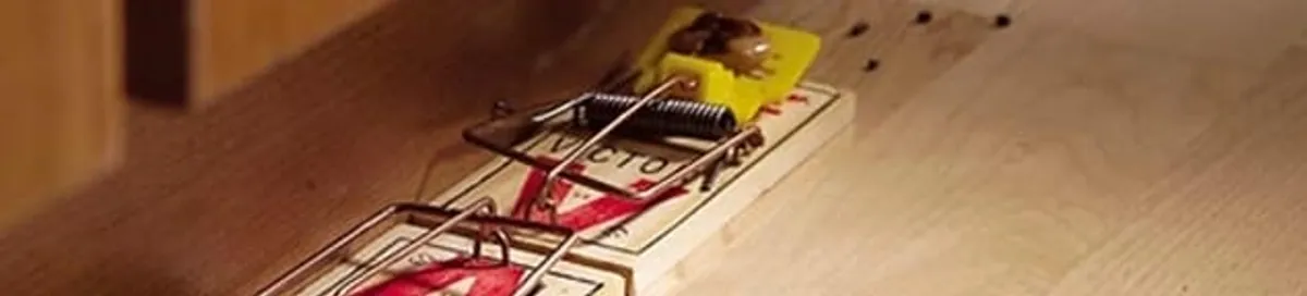 Rodent trap set indoors for rodent control and prevention in Memphis, TN