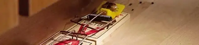 Rodent trap set indoors for rodent control and prevention in Memphis, TN